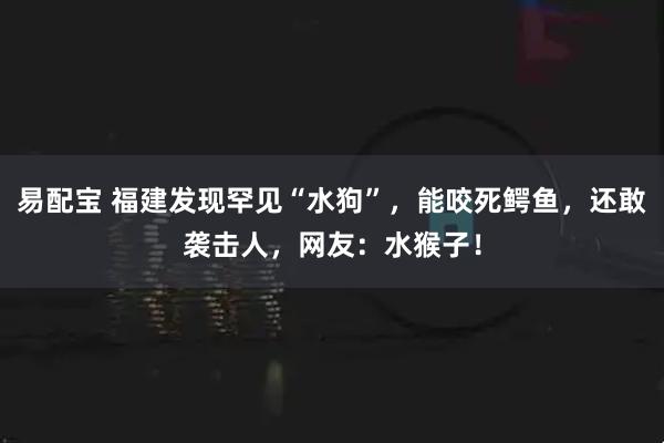 易配宝 福建发现罕见“水狗”,能咬死鳄鱼,还敢袭击人,网友:水猴子!