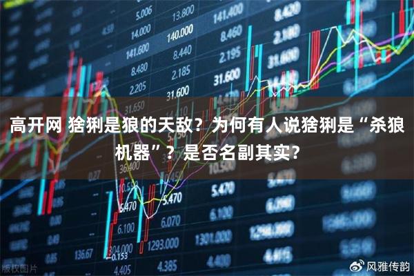 高开网 猞猁是狼的天敌?为何有人说猞猁是“杀狼机器”?是否名副其实?