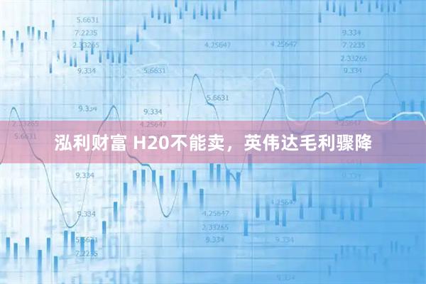 泓利财富 H20不能卖，英伟达毛利骤降