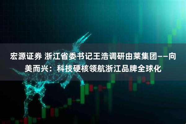 宏源证券 浙江省委书记王浩调研由莱集团——向美而兴：科技硬核领航浙江品牌全球化